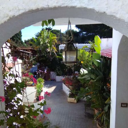 Le Case Di Vito Favignana Eksteriør bilde