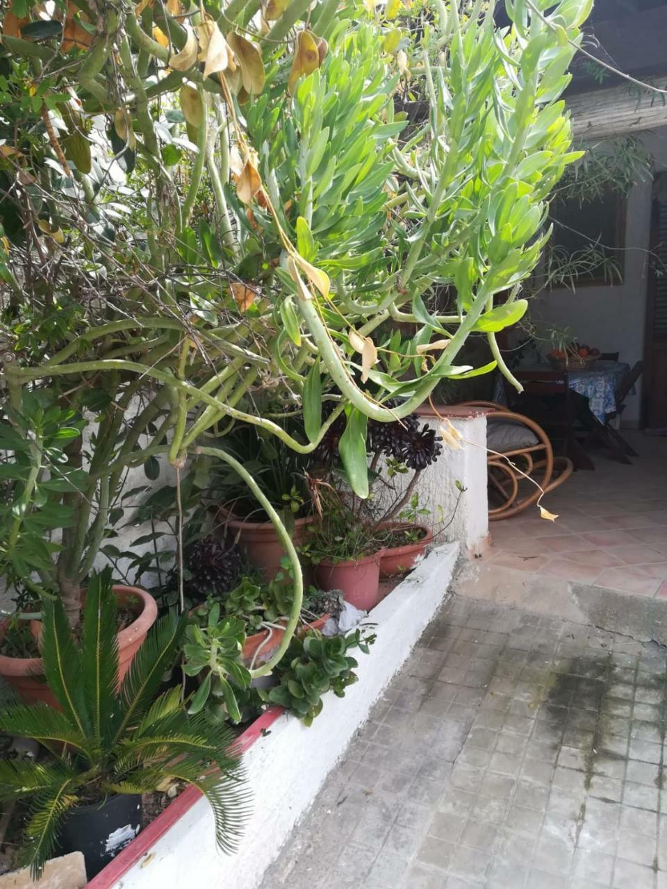 Le Case Di Vito Favignana Eksteriør bilde