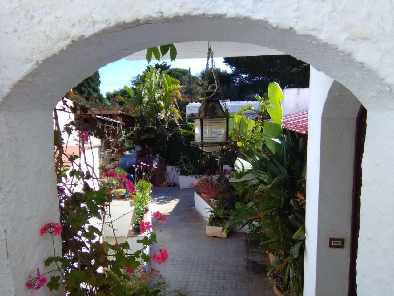 Le Case Di Vito Favignana Eksteriør bilde